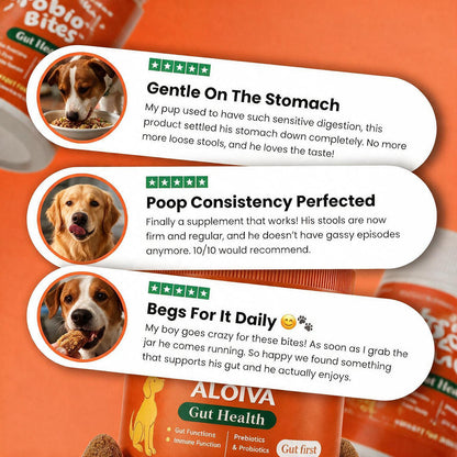 ALOIVA PROBIOTIC BITES FOR A HEALTHIER, HAPPIER GUT