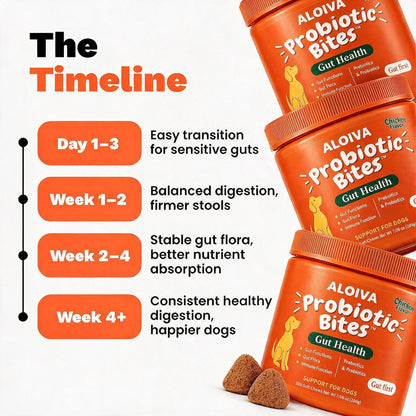 ALOIVA PROBIOTIC BITES FOR A HEALTHIER, HAPPIER GUT