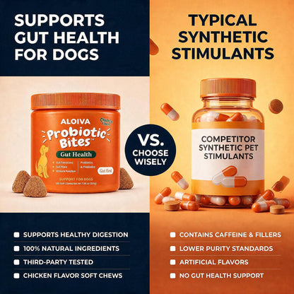 ALOIVA PROBIOTIC BITES FOR A HEALTHIER, HAPPIER GUT