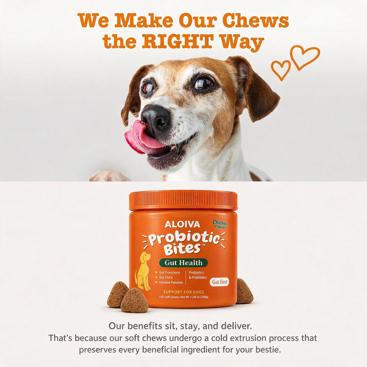 ALOIVA PROBIOTIC BITES FOR A HEALTHIER, HAPPIER GUT